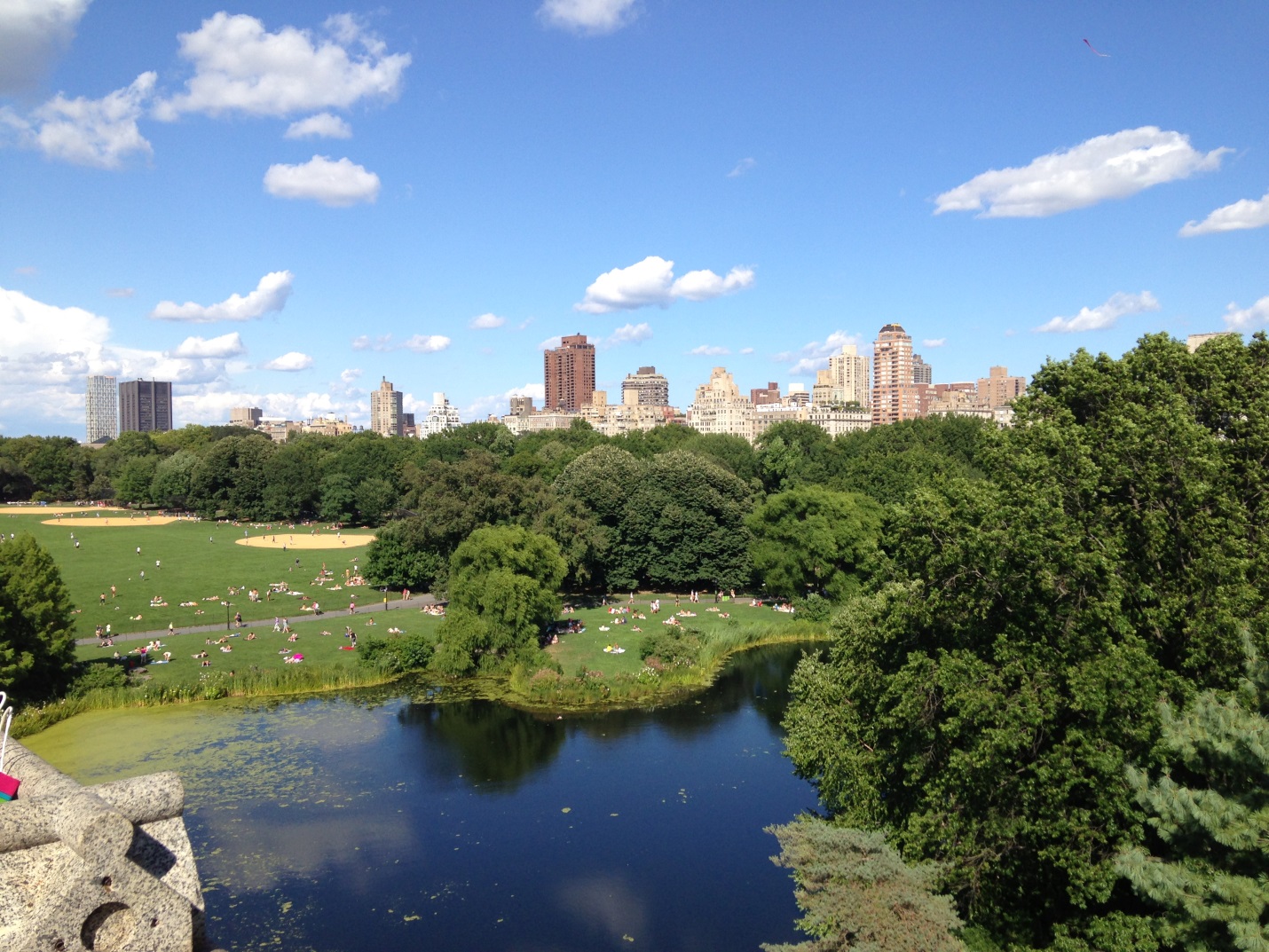 Great view of Central Park in New York City