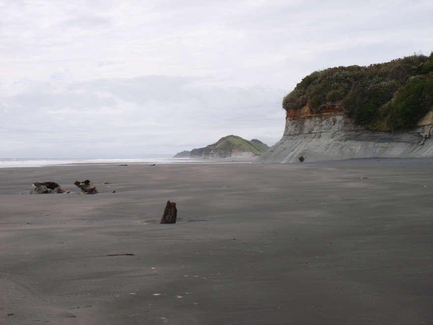 Taranaki beach