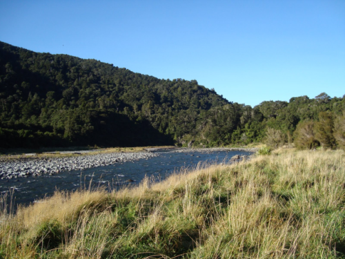 Amazing New Zealand beauty